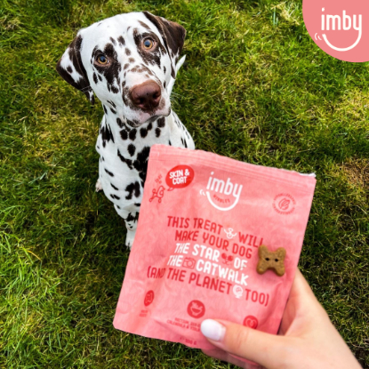 Een dalmatiër die graanvrij hondenvoer van Imby Pet Food krijgt.