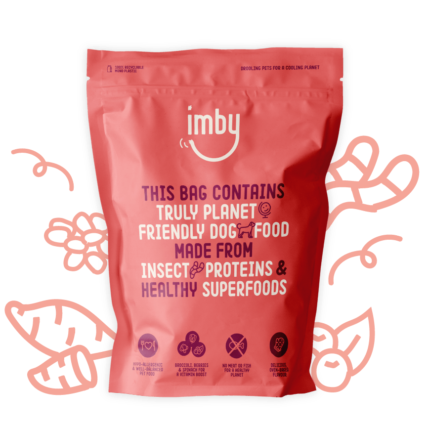 Insect based Dog Food Hypoallergenic Healthy Imby