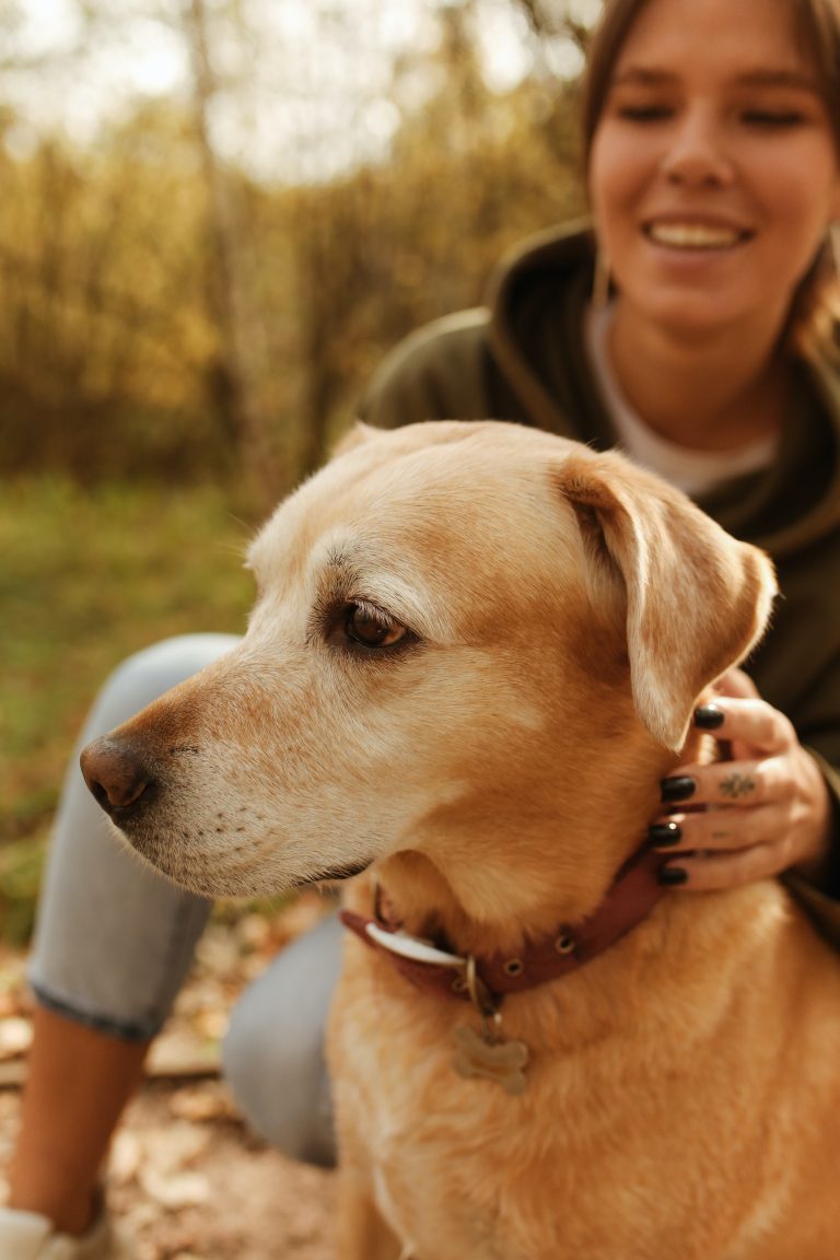 Voedingsallergie hond