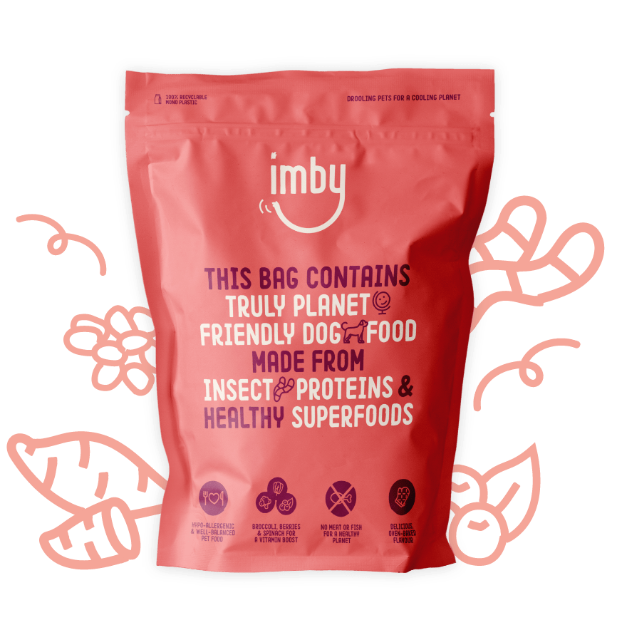 Hypoallergenic insect-based dog food