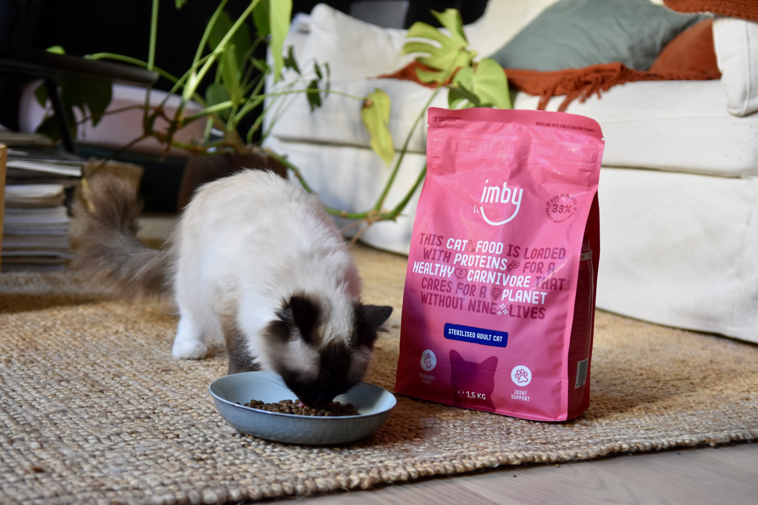 kattenvoer op basis van insecten