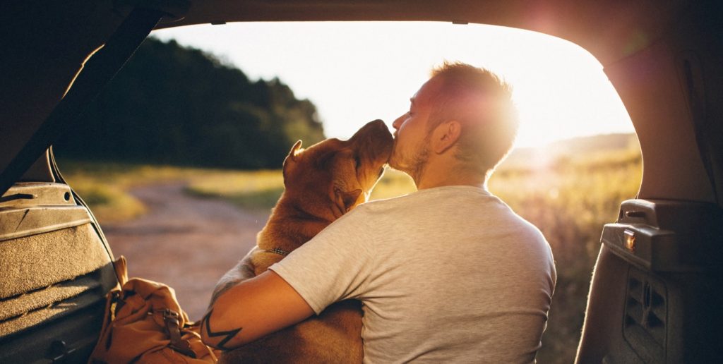 Hond en baasje samen op reis in auto