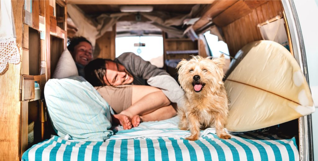 Hond met familie op reis in camper van