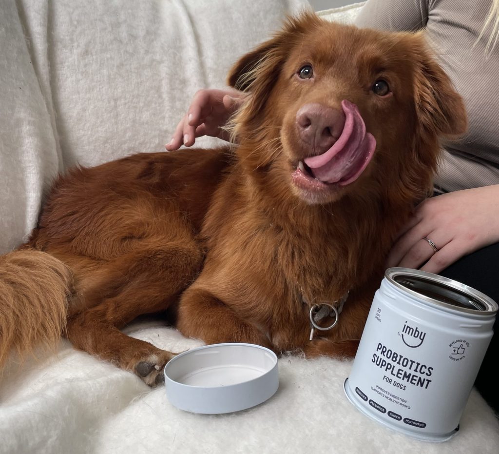 Supplement voor honden dat spijsvertering bevordert