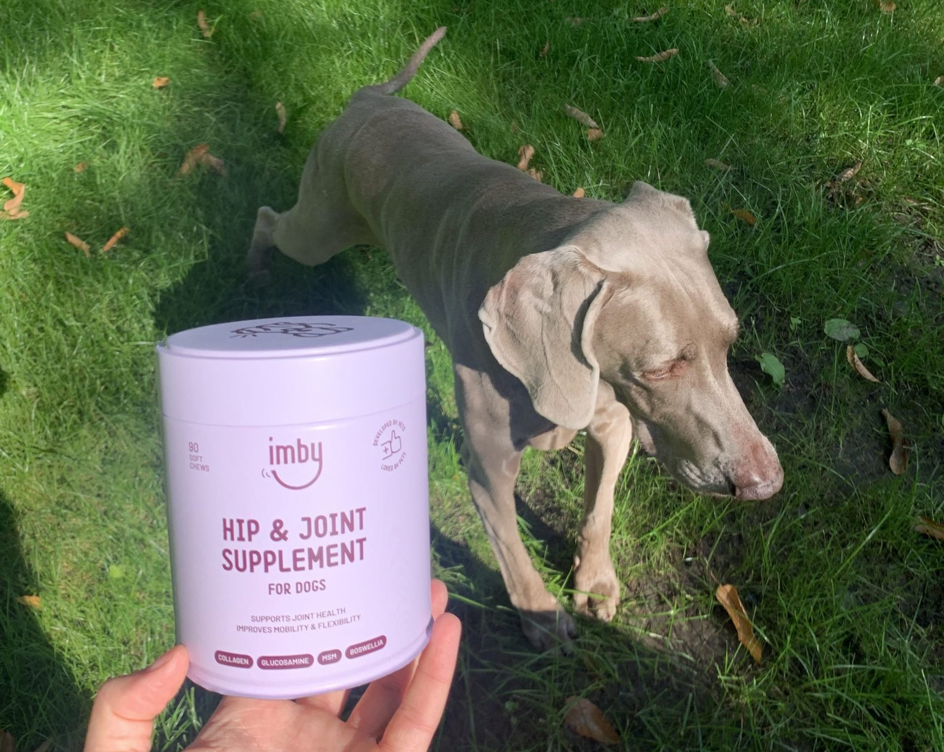 Hip and Joint dog supplement