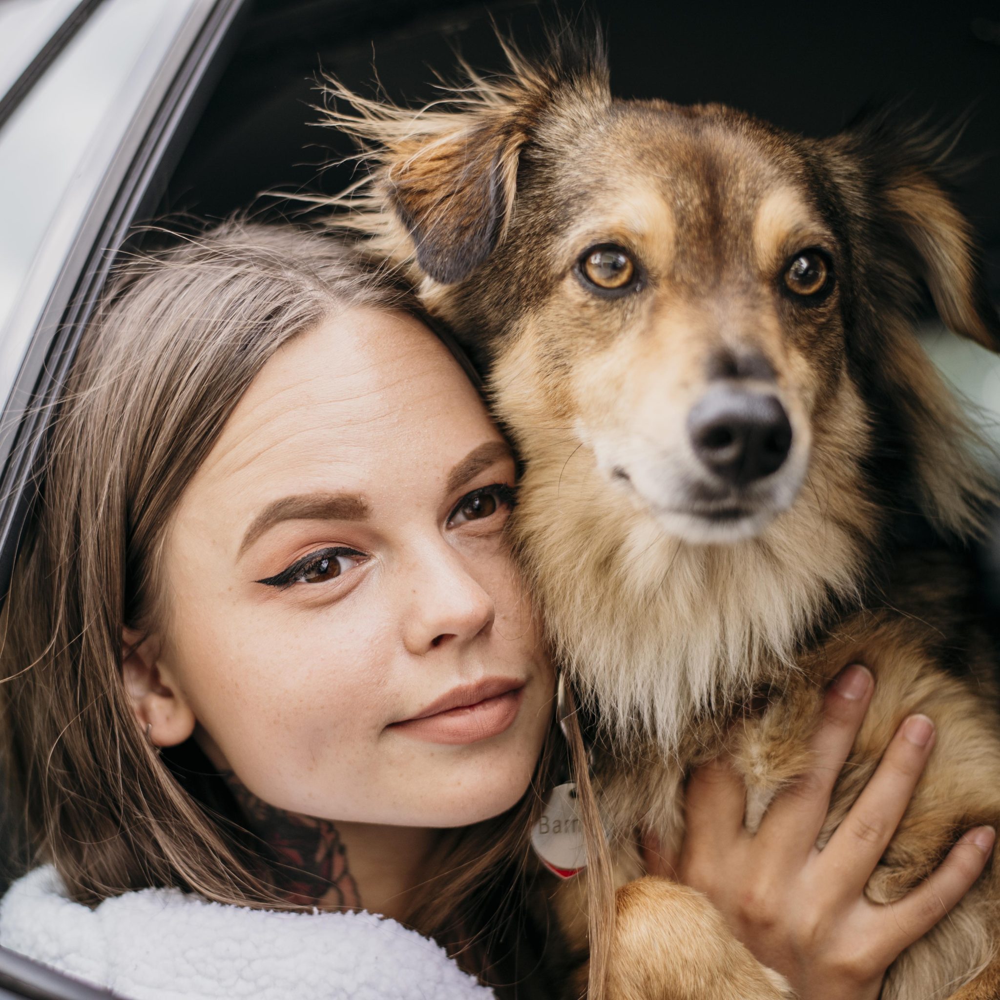 Welke granen zijn goed voor honden? Imby Pet Food
