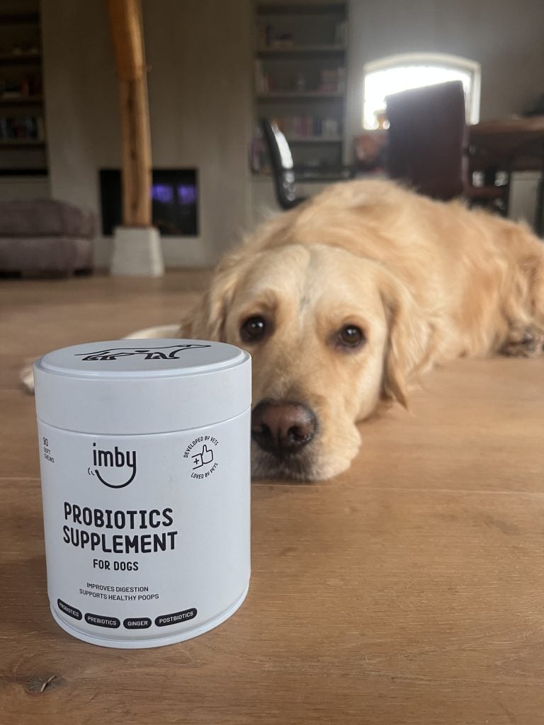 Probiotica hond tegen jeuk