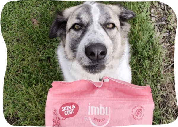 Imby Kalmerend Honden Supplement - 3 Potten - Anti Stress Hondensnacks - Kalmeringsmiddel hond - Kalmerende hondensnoepjes - Anti-vuurwerk Hondenvoeding - 270 Hondenkoekjes