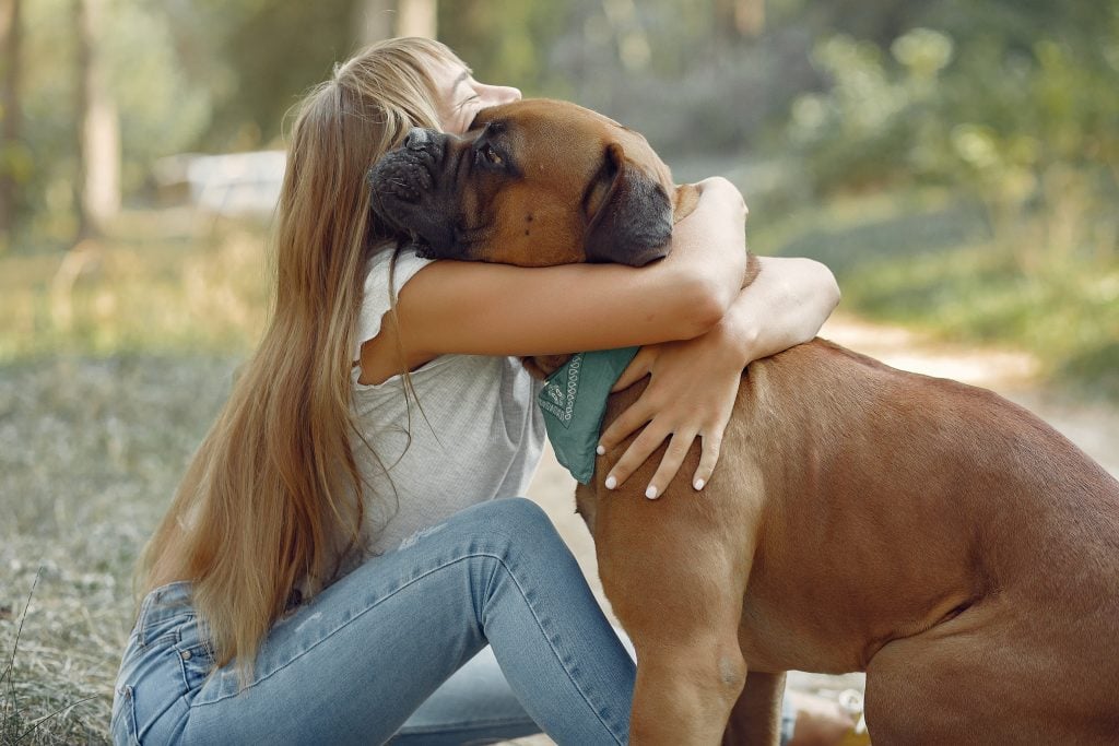 Levensduur honden