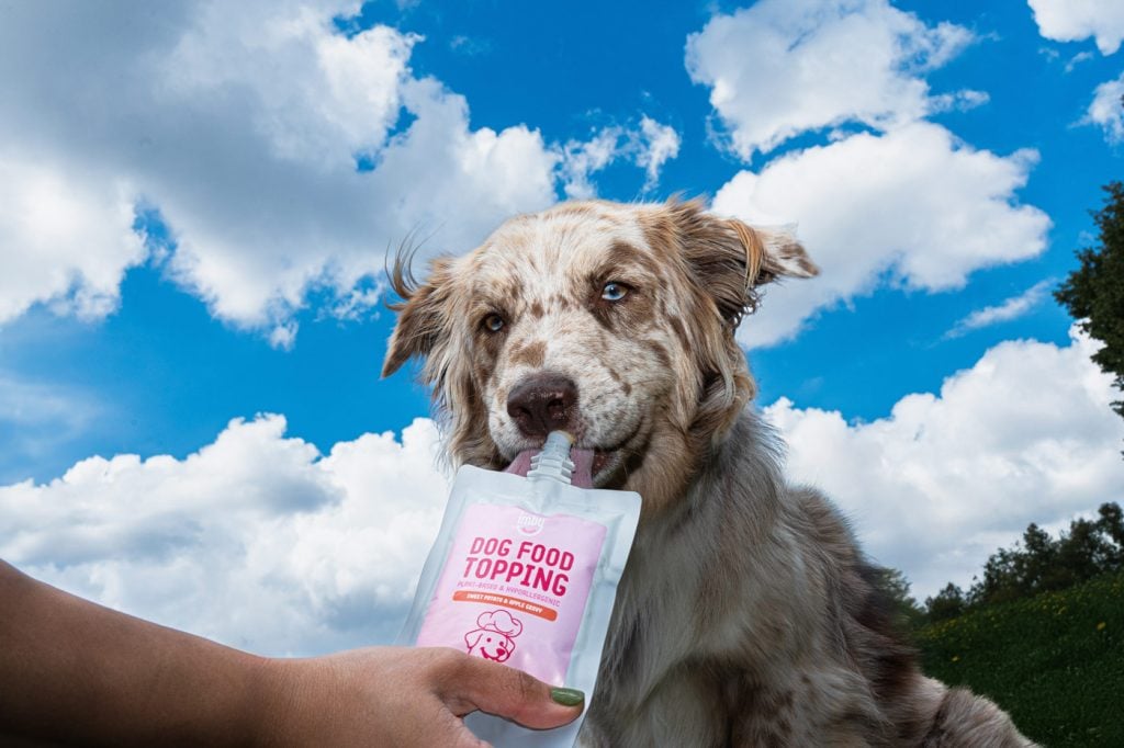 Hondentoppers: Wat Zijn Het en Waarom Heeft Jouw Hond Ze Nodig?